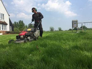 GROUNDS MAINTENANCE