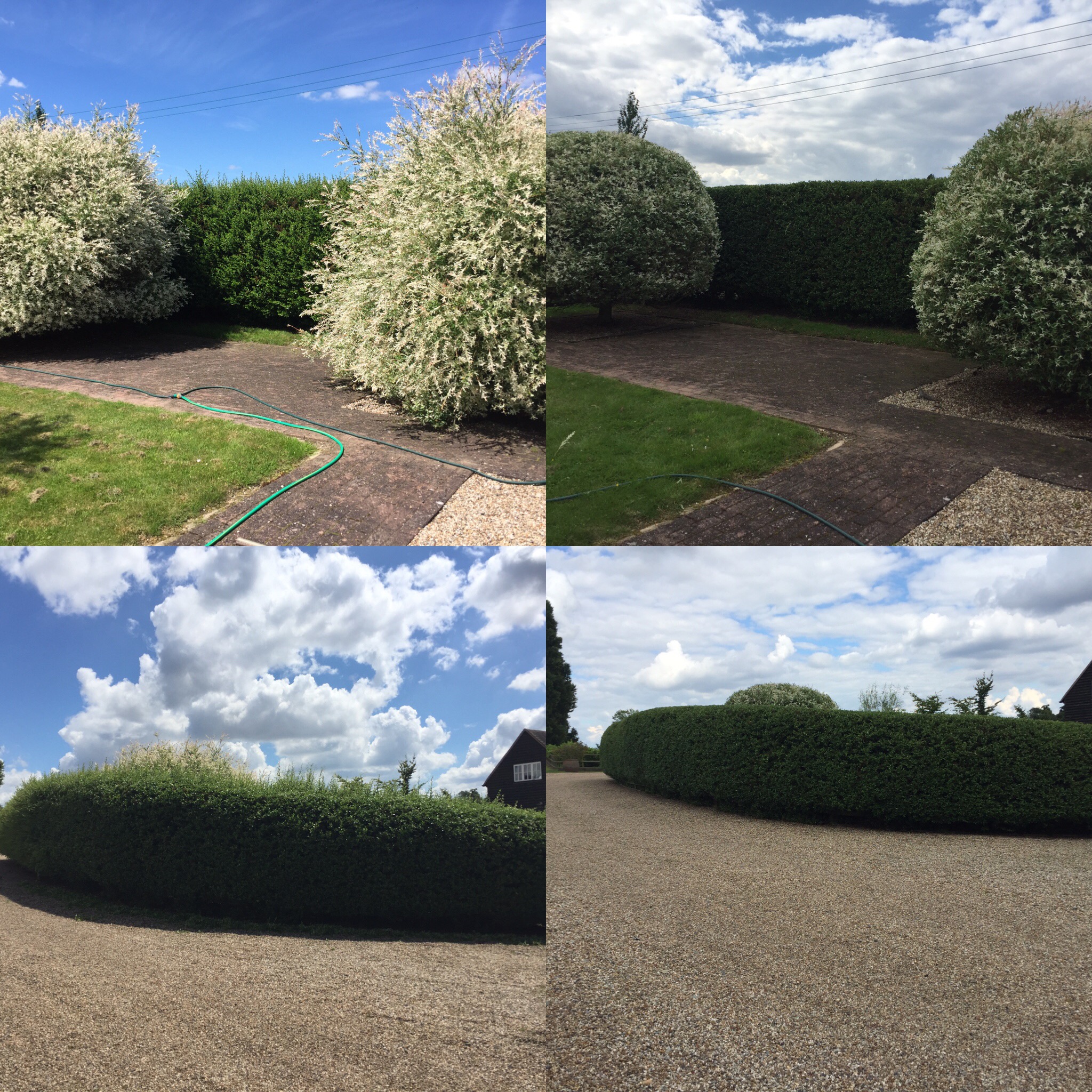 Hedge Maintenance