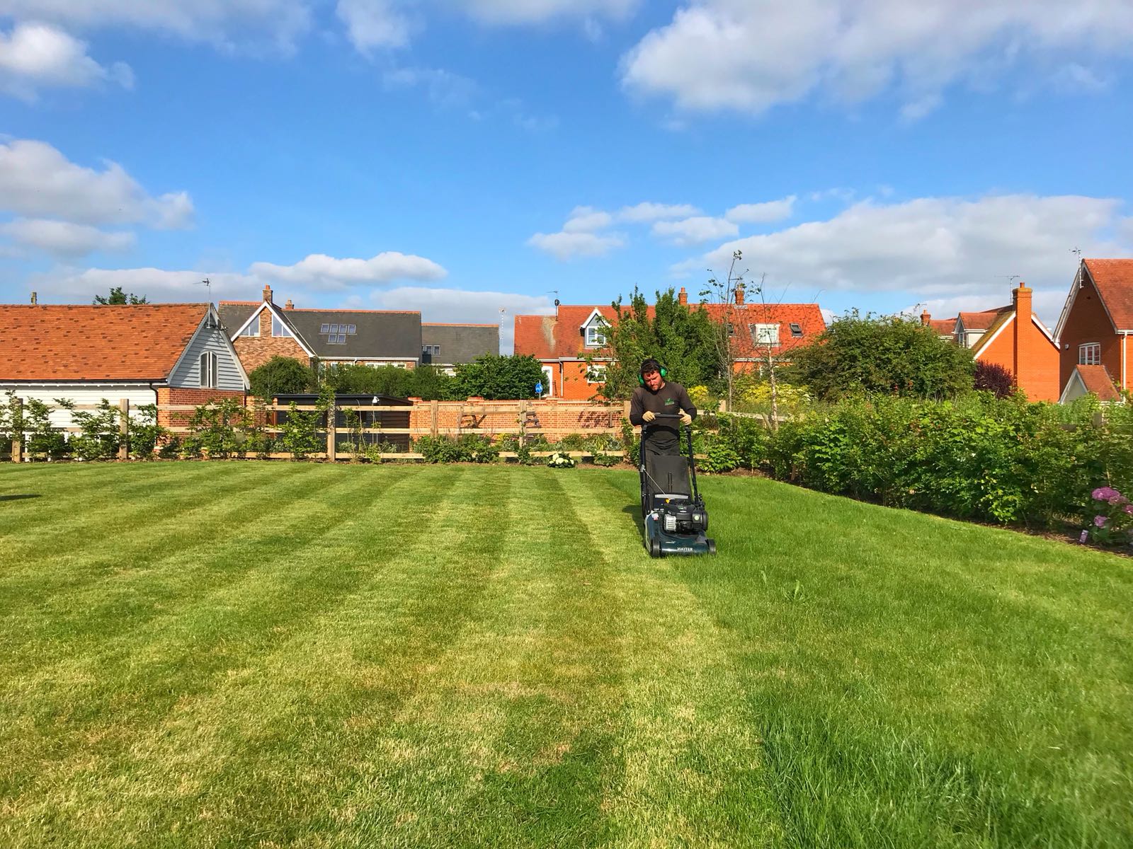 REGULAR GRASS CUTTING