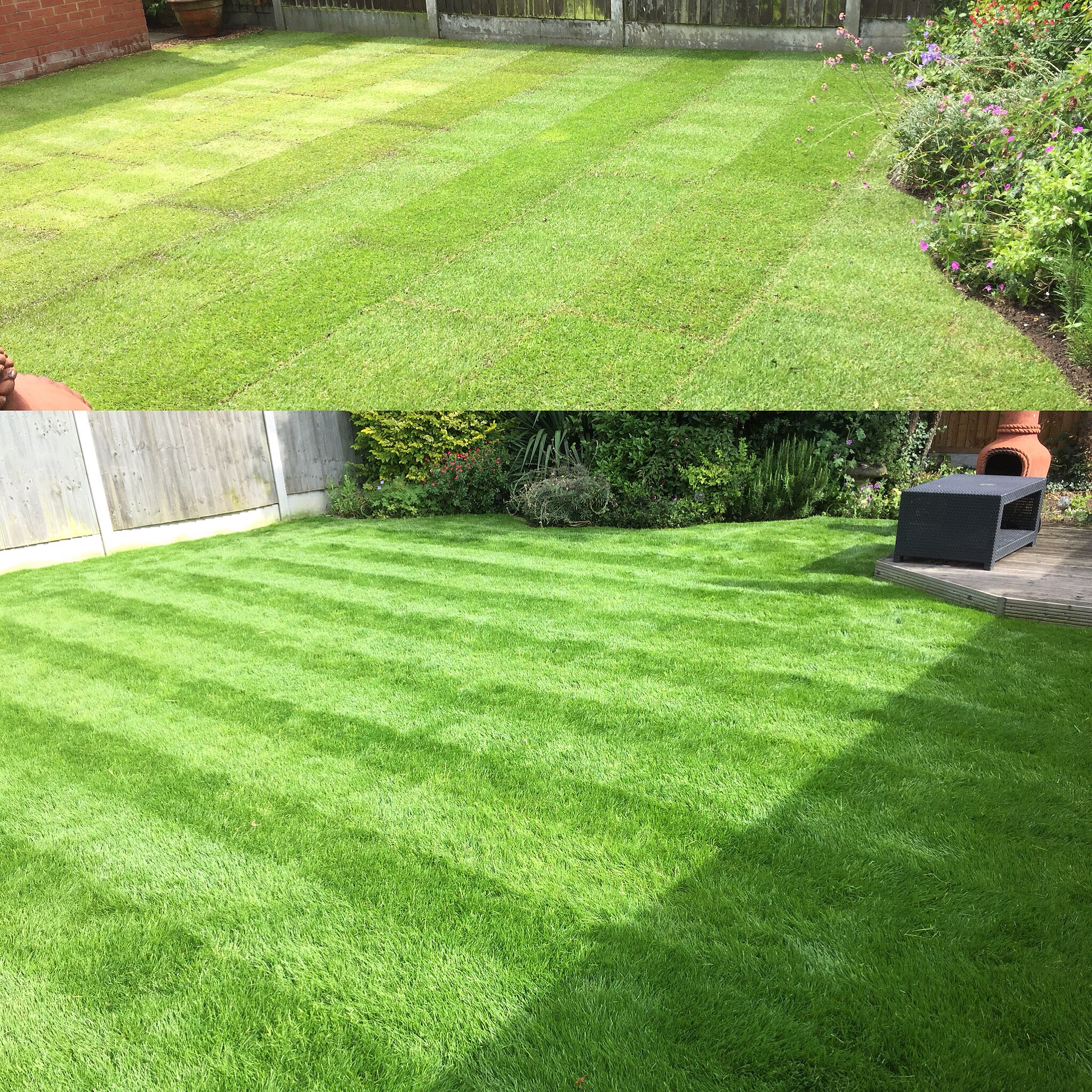 TURFING AND LAWN TREATMENT