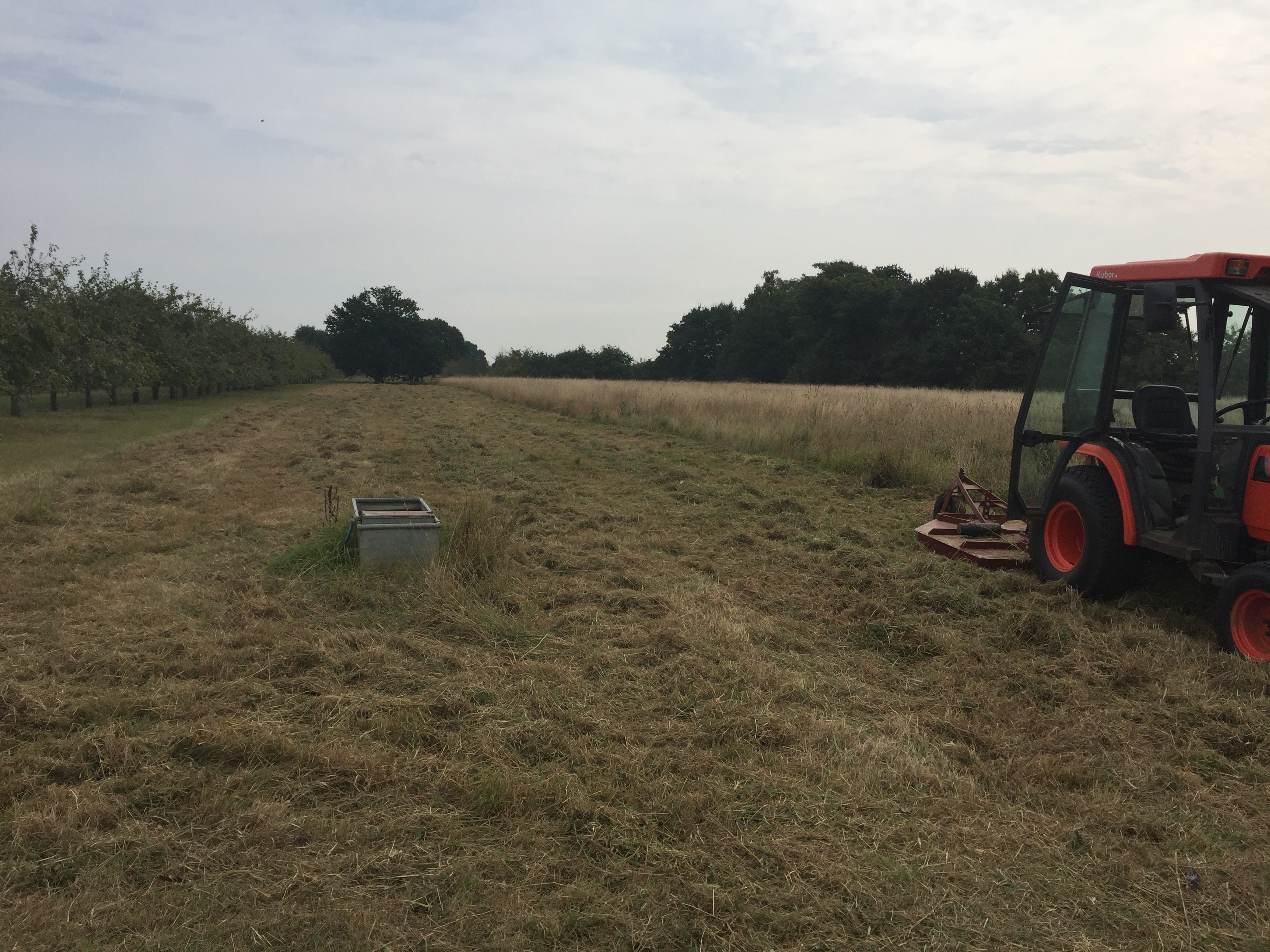 Ground Maintenance